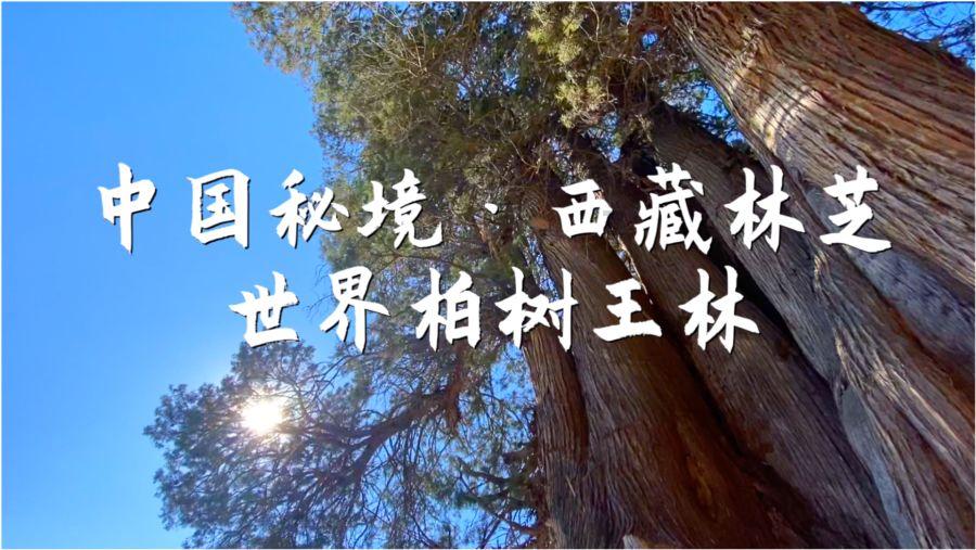 退休后影响二级建造师挂靠游戏画面