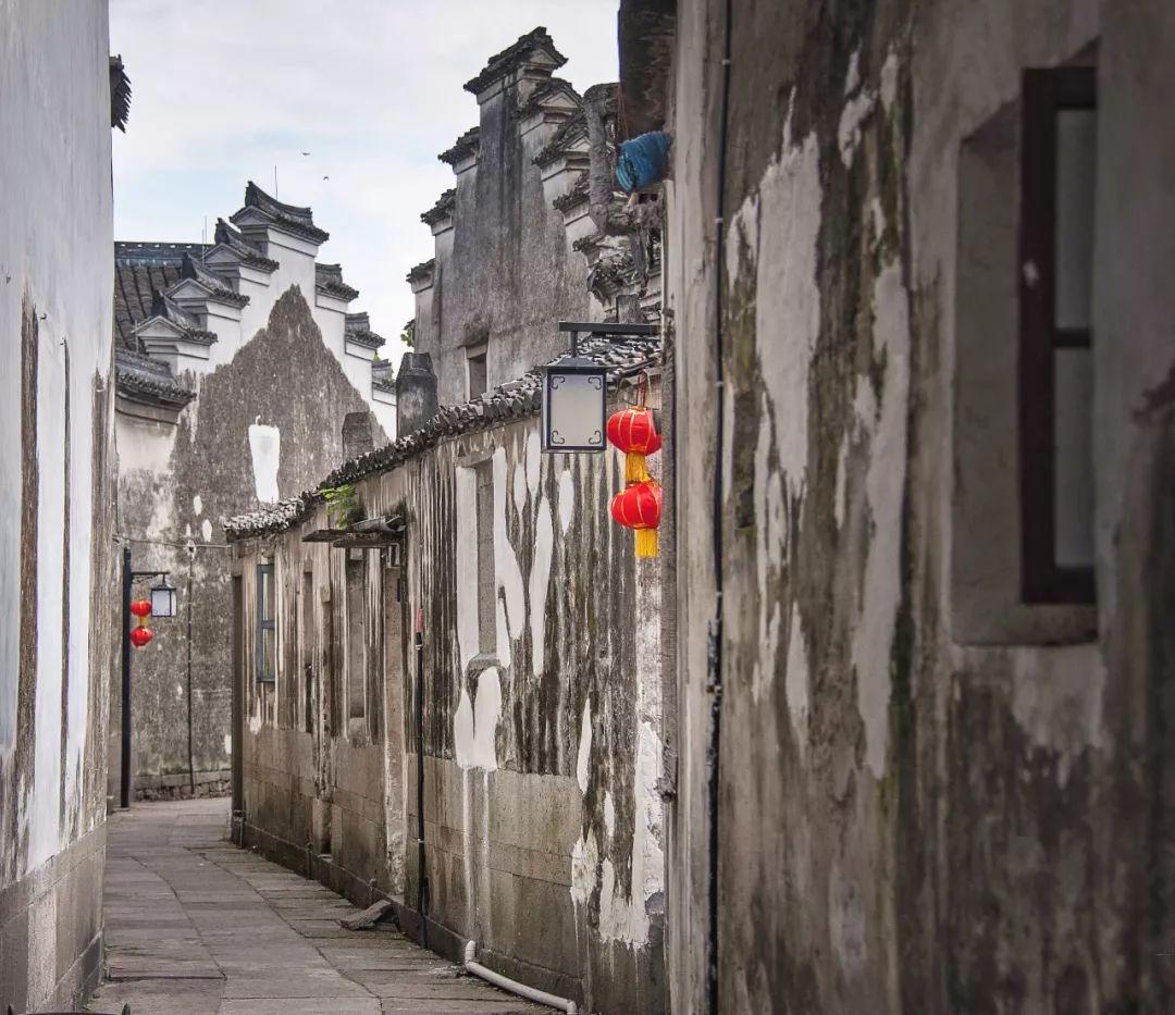 逃出小象森林