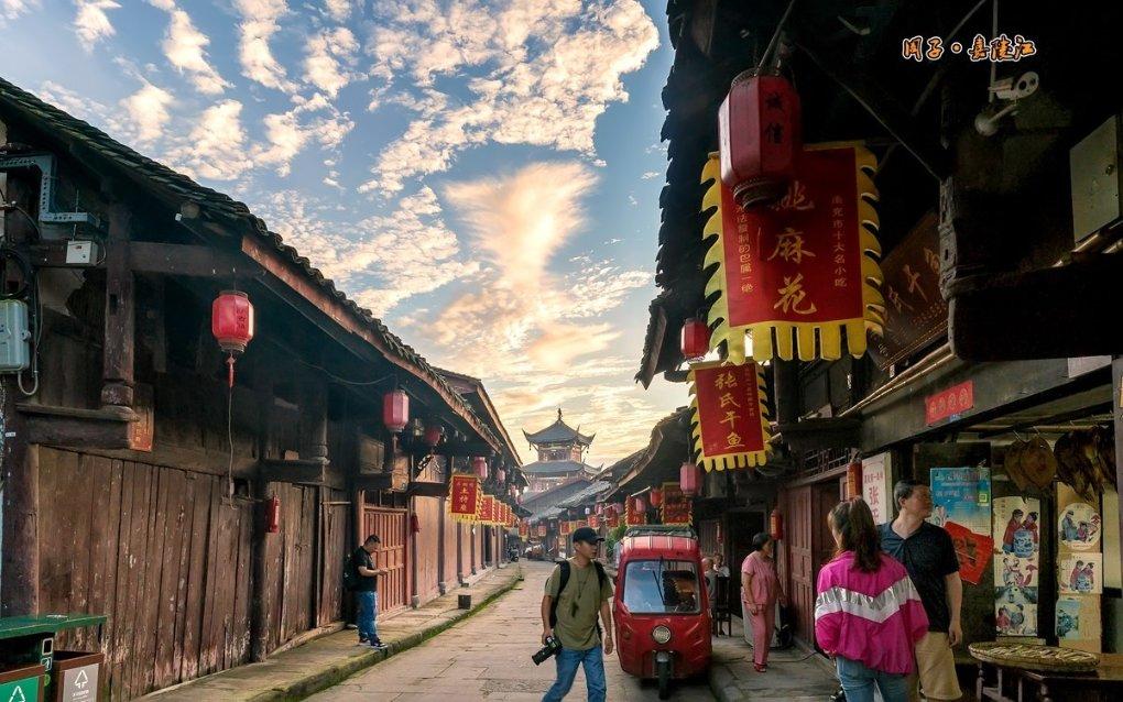 动物帮帮忙保卫家园