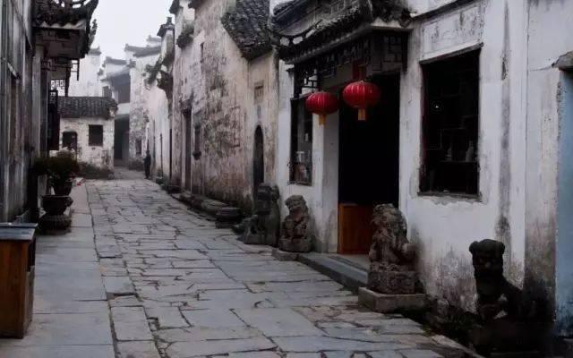 中国政府友谊奖得主点赞“千万工程” 期待去浙江打卡!
